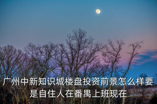 廣州知識城升值潛力，廣州中新知識城的建設能帶動附近恒大山水城樓盤的升值空間嗎