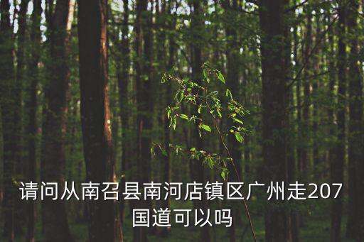 南陽去廣州走國道，請問從南召縣南河店鎮區廣州走207國道可以嗎