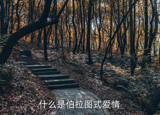 西雅圖式愛情，什么是柏雅圖式戀愛