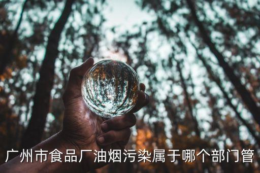 廣州市食品廠油煙污染屬于哪個部門管