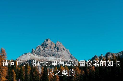 請問廣州附近哪里有賣測量儀器的如卡尺之類的