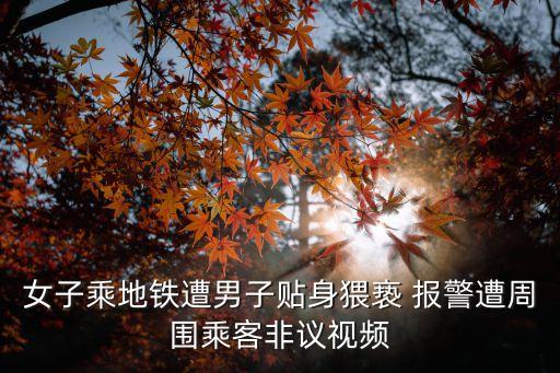 女子乘地鐵遭男子貼身猥褻 報警遭周圍乘客非議視頻