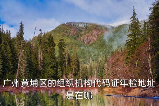 廣州黃埔區的組織機構代碼證年檢地址是在哪