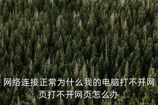 網絡連接正常為什么我的電腦打不開網頁打不開網頁怎么辦
