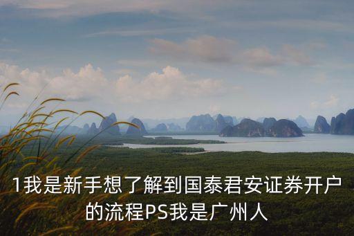 廣州國泰君安證券開戶，我是新手想了解到國泰君安證券開戶的流程