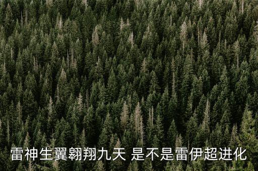 雷神生翼翱翔九天 是不是雷伊超進化