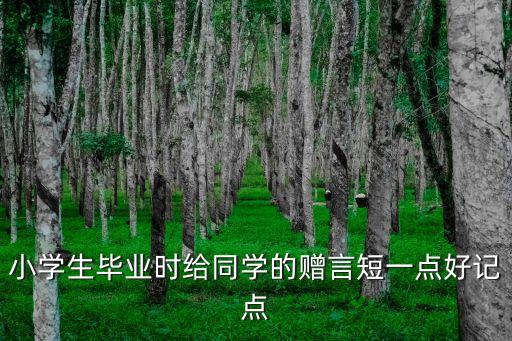小學生寄語，寫給小學生的贈言