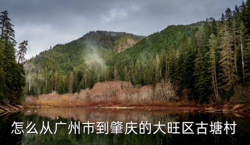 怎么從廣州市到肇慶的大旺區古塘村