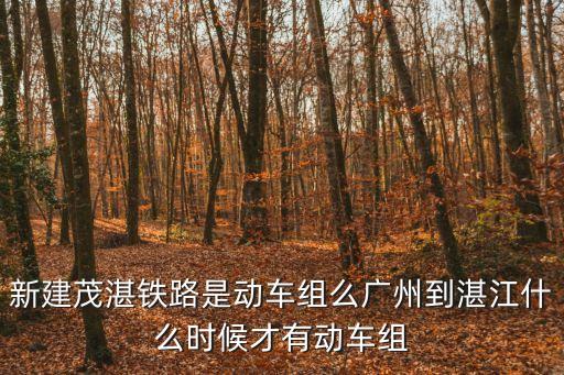 新建茂湛鐵路是動車組么廣州到湛江什么時候才有動車組