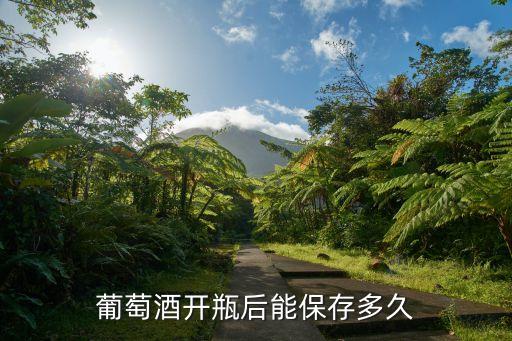 葡萄酒開瓶后能放多久，葡萄酒開瓶后能保存多久