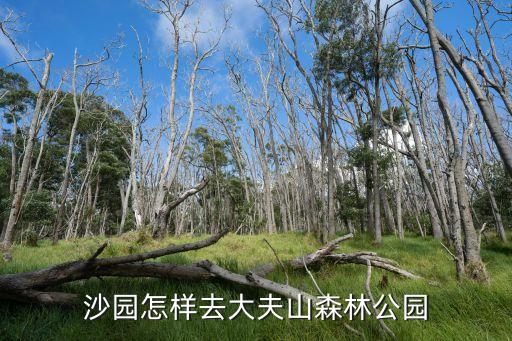 廣州海珠沙園封了嗎，廣州有沙園嗎怎么去啊