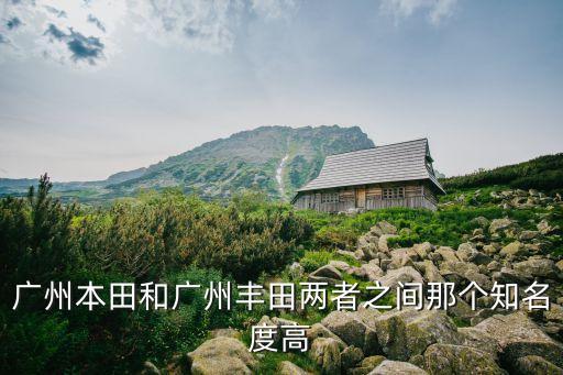 廣州本田和廣州豐田兩者之間那個知名度高