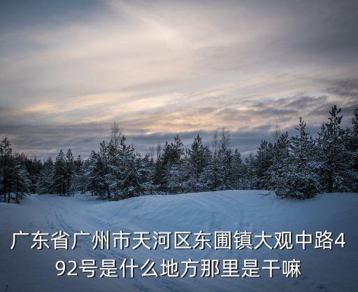 廣州華業機電有限公司，廣東省廣州市鐘村最大的電子廠叫什么名字