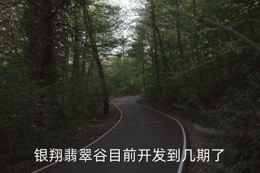 廣州銀翔翡翠谷，銀翔翡翠谷目前開發到幾期了