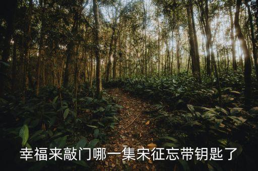 宋征，中央一臺播放的幸福來敲門中的宋征誰扮演的