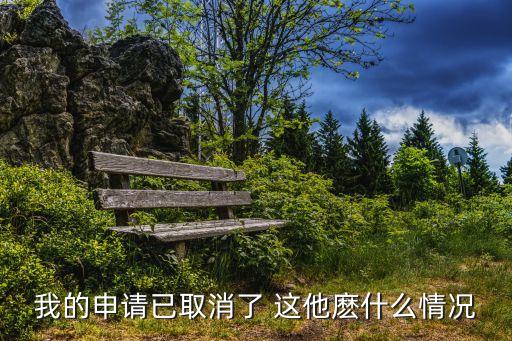 廣州搖號查詢狀態顯示申請取消，小客車搖號申請被取消怎么辦