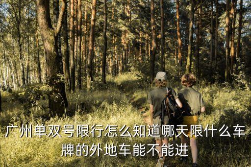 廣州單雙號限行怎么知道哪天限什么車牌的外地車能不能進