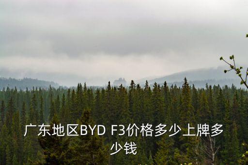 廣東地區BYD F3價格多少上牌多少錢