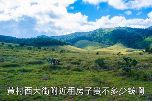 廣州黃村區租房價格，黃村西大街附近租房子貴不多少錢啊