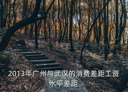 2013年廣州與武漢的消費差距工資水平差距