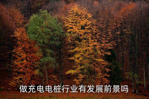 做充電電樁行業(yè)有發(fā)展前景嗎