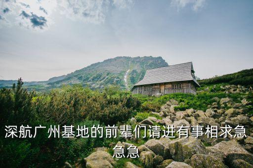 廣州局基地，深航廣州基地的前輩們請(qǐng)進(jìn)有事相求急急急