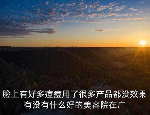 臉上有好多痘痘用了很多產品都沒效果有沒有什么好的美容院在廣
