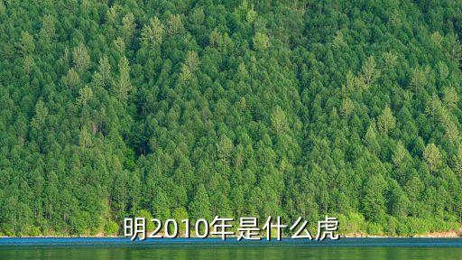 2010年是什么虎，2010是什么虎年