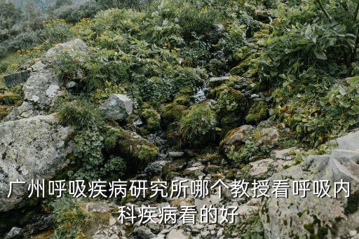 廣州呼吸疾病研究所哪個教授看呼吸內科疾病看的好