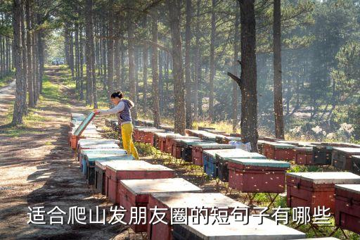 適合爬山發朋友圈的短句子有哪些