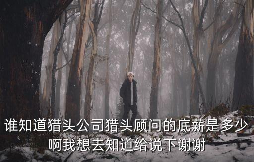 誰知道獵頭公司獵頭顧問的底薪是多少啊我想去知道給說下謝謝