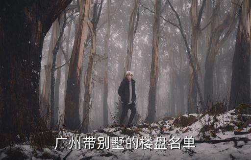 廣州番禺樓房別墅，廣州番禺大石太子花園的二手別墅好不好