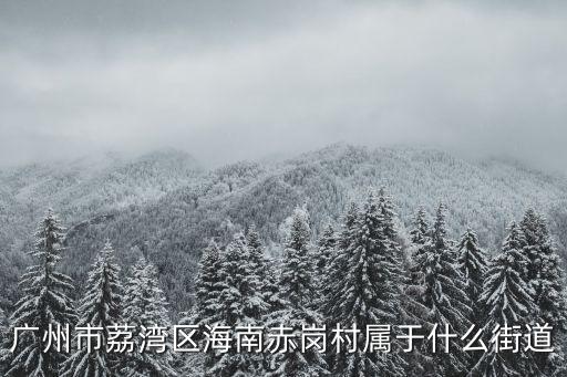廣州荔灣中南街有哪幾個村，廣州市荔灣區海南棉村市場在哪個街道急急急在京東買東西