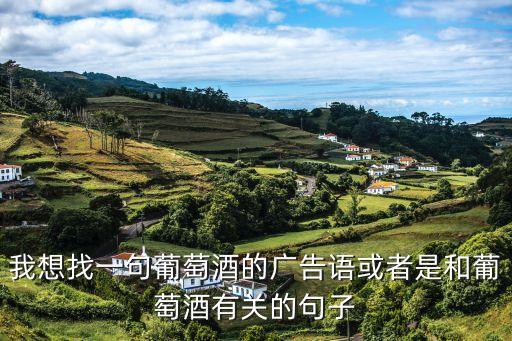 紅酒文案，求一段法國(guó)杰娜卡干紅葡萄酒的廣告語(yǔ)1525字左右