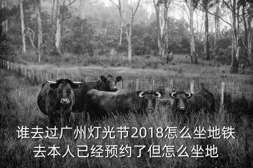 廣州燈光節(jié)一個預(yù)約可以兩人進嗎，在廣州哪些地方可以購買到皮艇