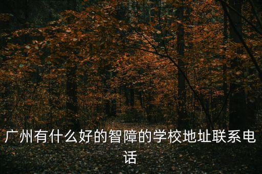 廣州盲童學校位置，廣州有什么好的智障的學校地址聯系電話