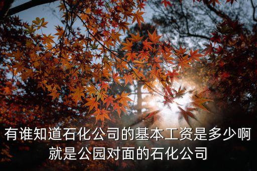 中石化廣州煉化廠工資待遇，廣州石化待遇算不算好宿舍條件怎樣