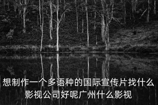 想制作一個多語種的國際宣傳片找什么影視公司好呢廣州什么影視
