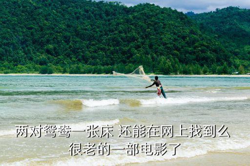 兩對(duì)鴛鴦一張床，張學(xué)友在三對(duì)鴛鴦一張床電影52分鐘中放的歌曲叫什么名字求解