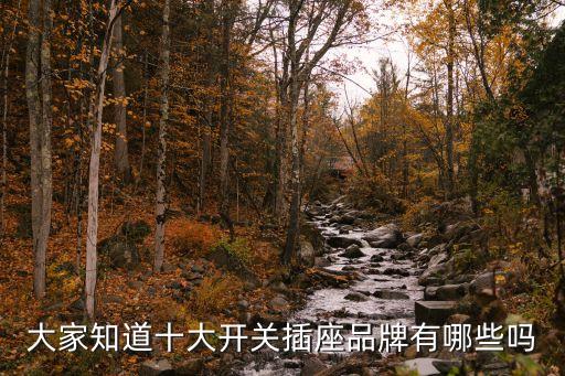 大家知道十大開關插座品牌有哪些嗎