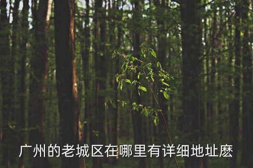 廣州的老城區在哪里有詳細地址麼