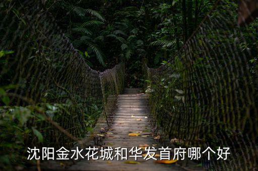 沈陽金水花城和華發首府哪個好