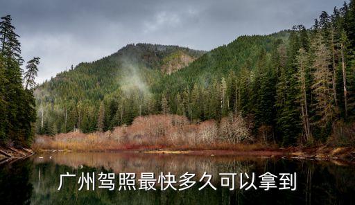 廣州駕照最快多久可以拿到