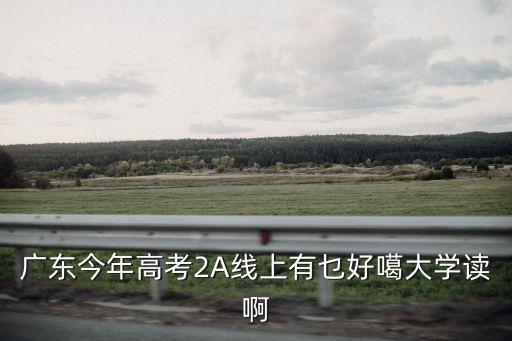 廣東今年高考2A線上有乜好噶大學讀啊