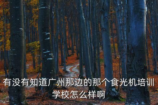 有沒有知道廣州那邊的那個食光機培訓學校怎么樣啊