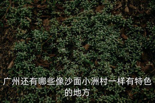 廣州還有哪些像沙面小洲村一樣有特色的地方