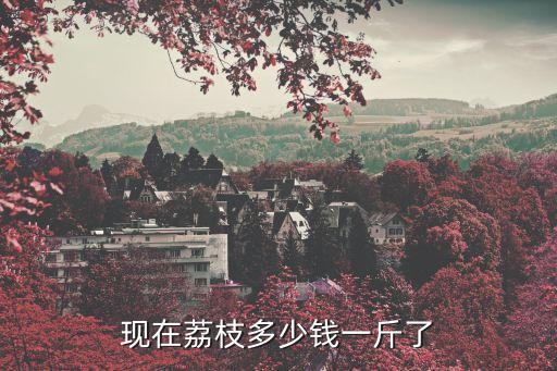 現在荔枝多少錢一斤了