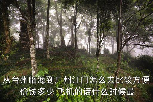 臺州飛廣州有4點的機票嗎，浙江路橋到廣州的機票