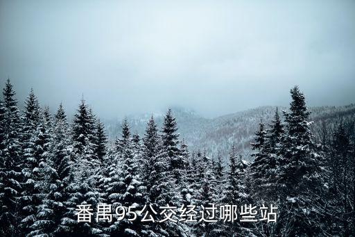 番禺95公交經(jīng)過哪些站