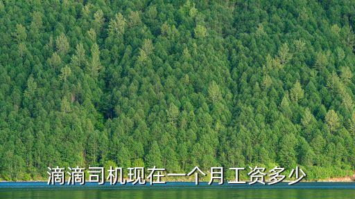 滴滴司機現在一個月工資多少